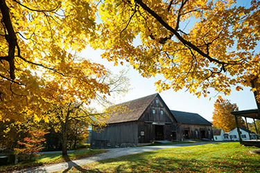 A brown building surrounded by trees with orange and yellow leaves